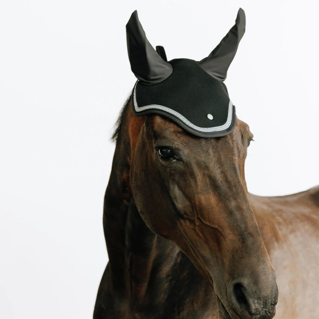Bonnet équitation cheval - riding noir - Image 2