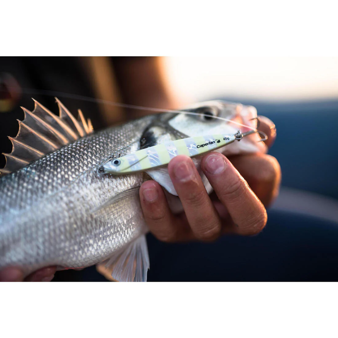 Casting jig biastos 20gr au leurre en mer - Image 19