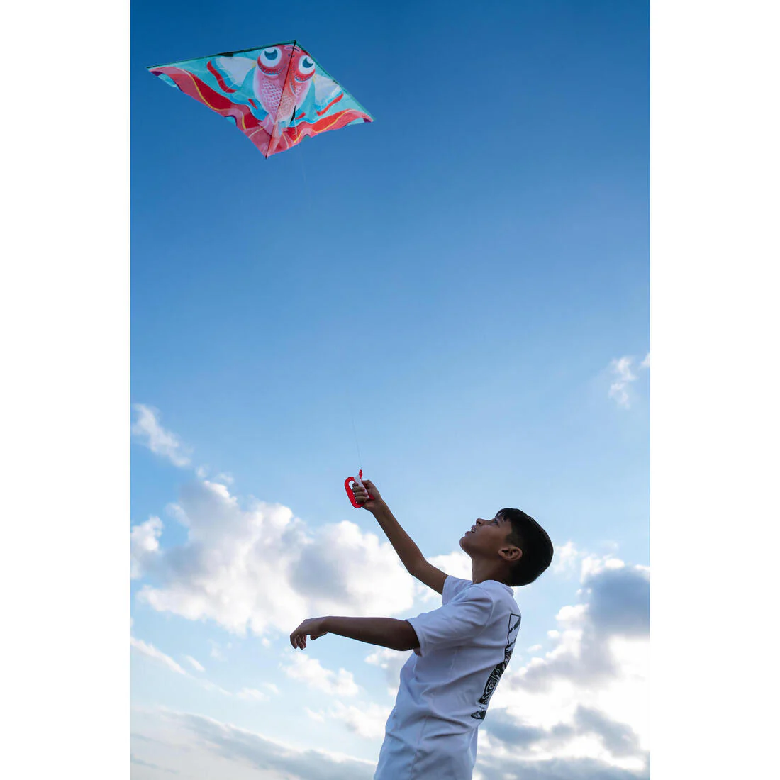 Cerf-volant statique Enfant - MFK 100 Perroquet - Image 8