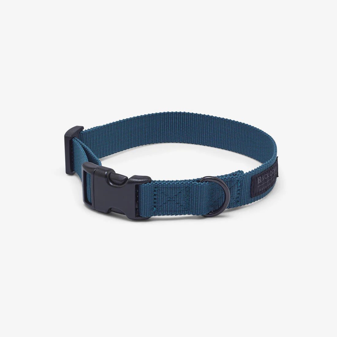 Collier chien 100 - Image 10