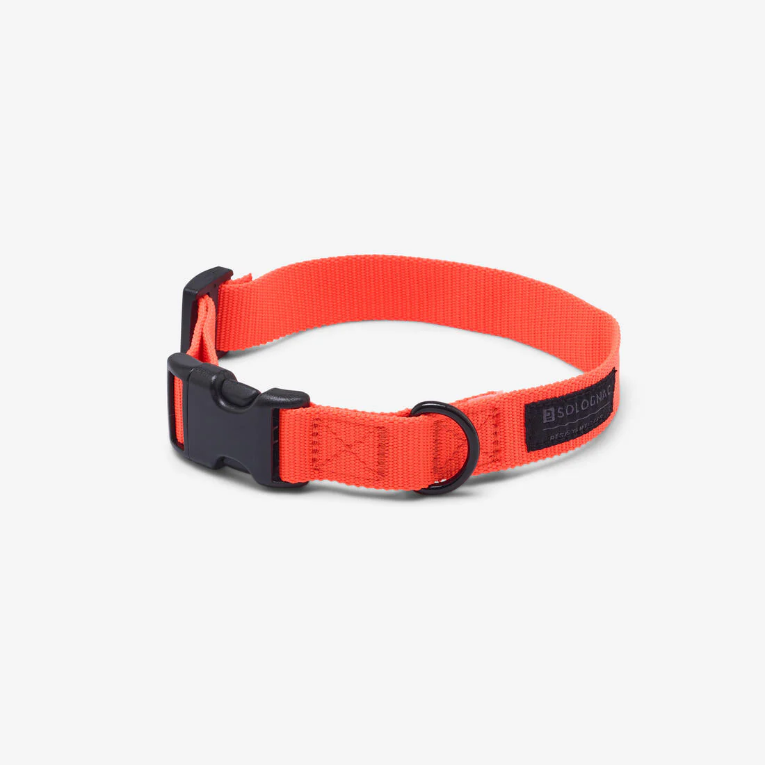 Collier chien 100 - Image 11