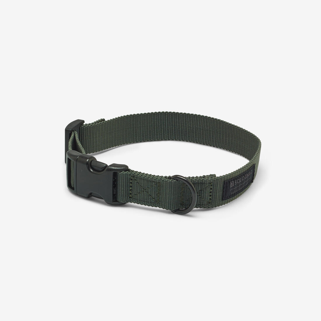 Collier chien 100 - Image 12