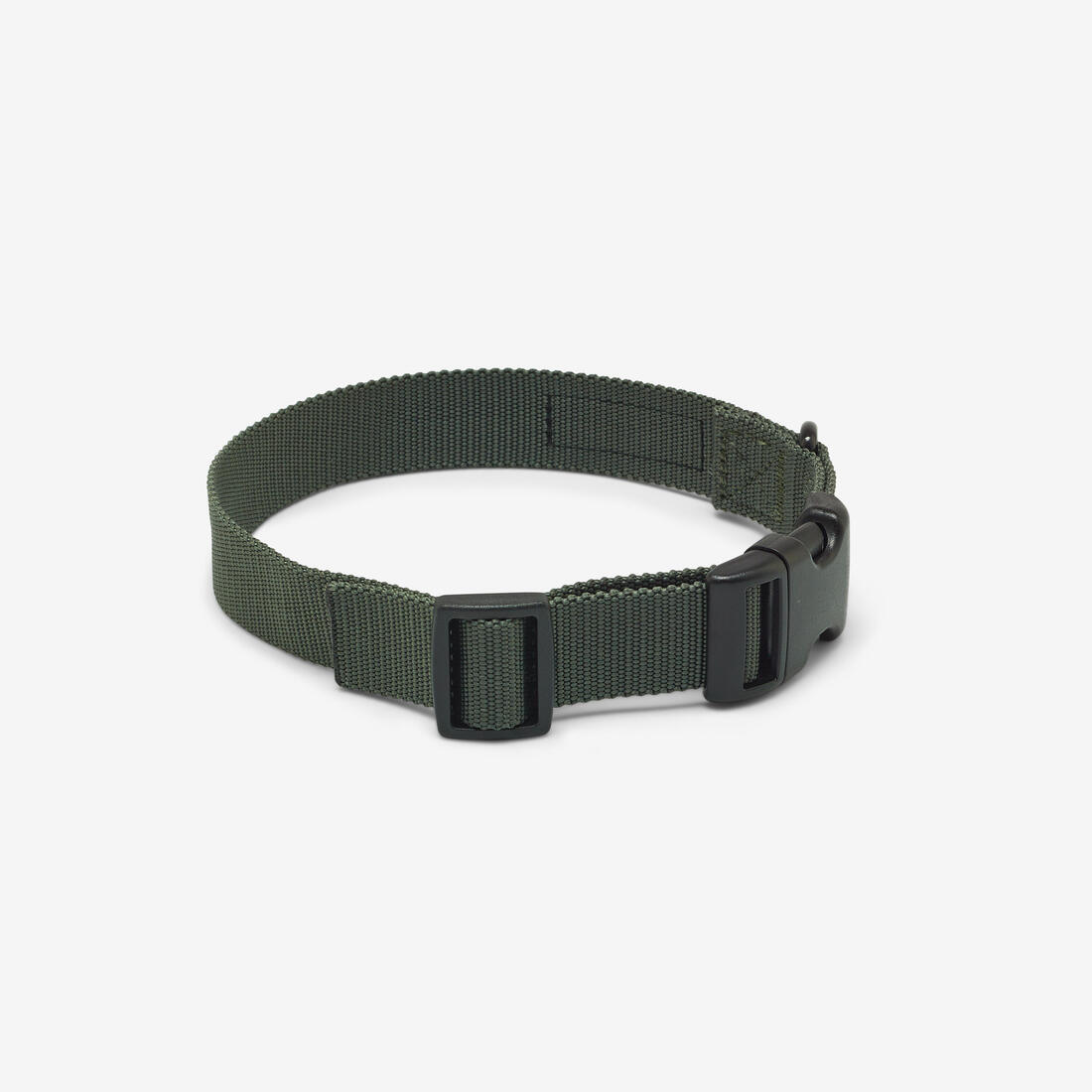 Collier chien 100 - Image 14