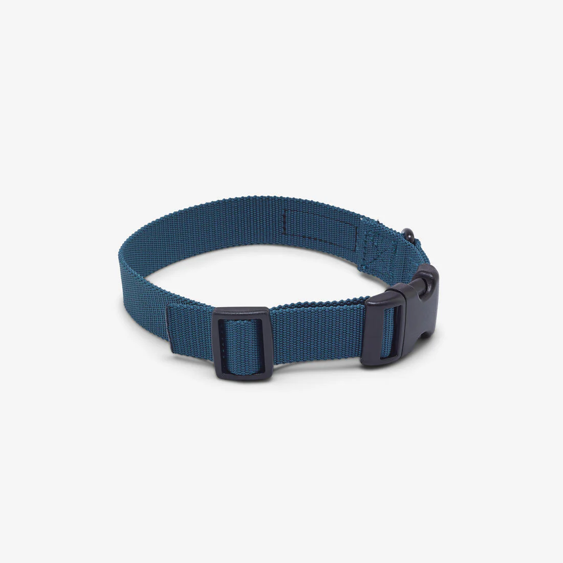 Collier chien 100 - Image 15