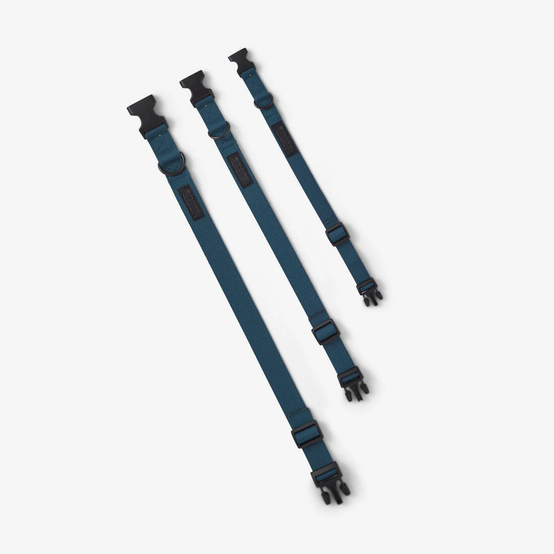 Collier chien 100 - Image 17