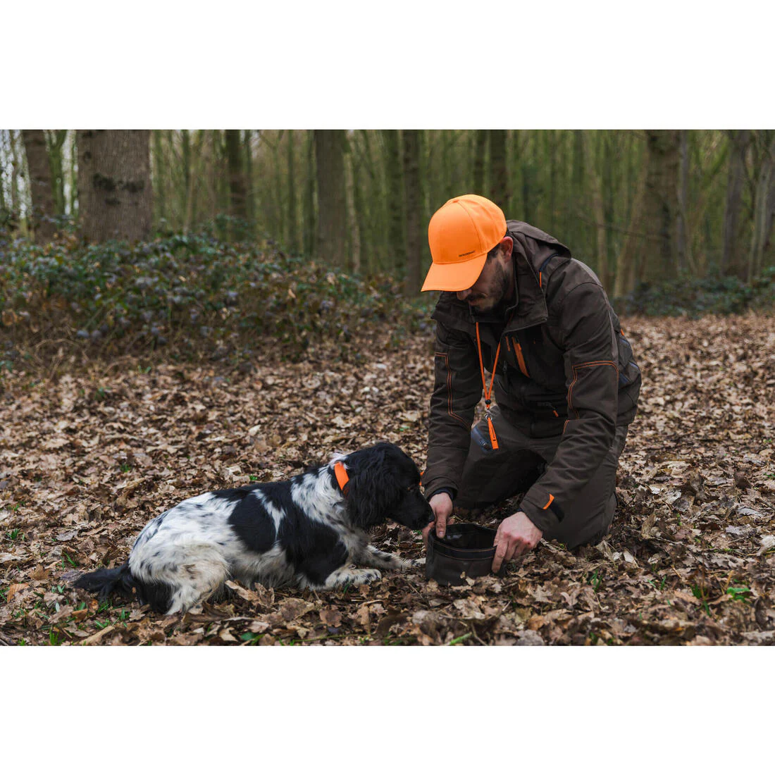 Collier chien Orange 900 - Image 11
