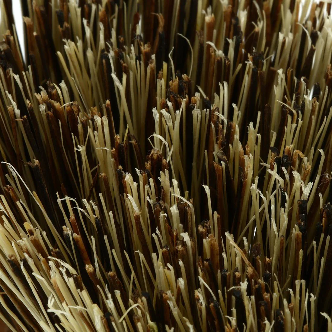 Cure-pied brosse équitation SENTIER bois - Image 4