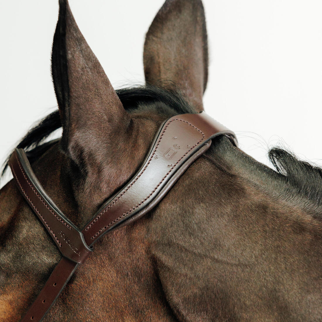 Filet sans mors équitation cheval et poney - Image 2
