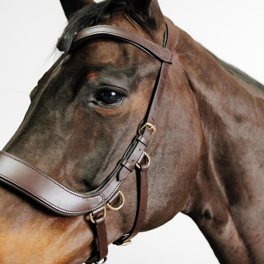 Filet sans mors équitation cheval et poney - Image 3