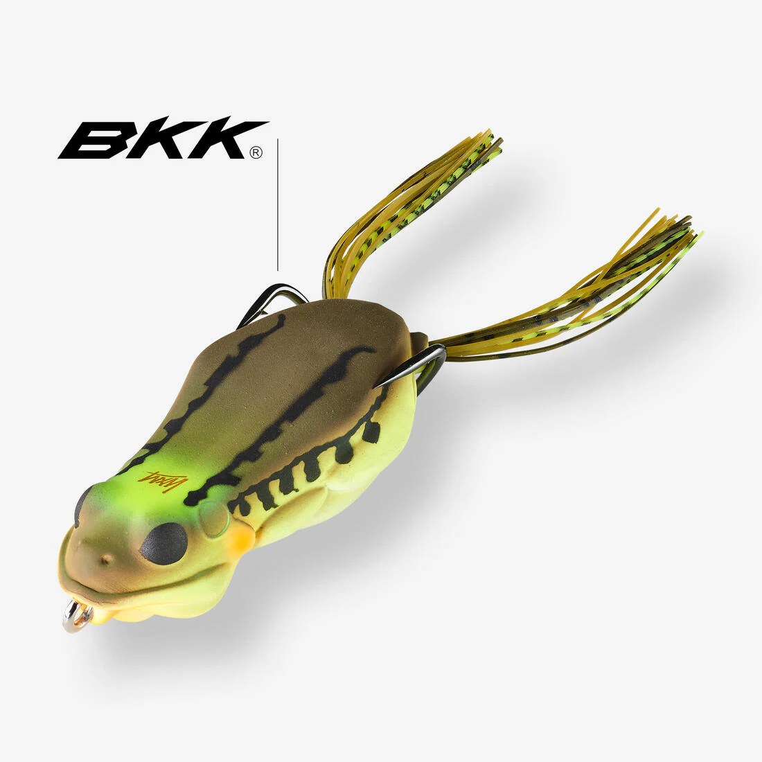 Grenouille frog frg 60 vert naturel - Image 4