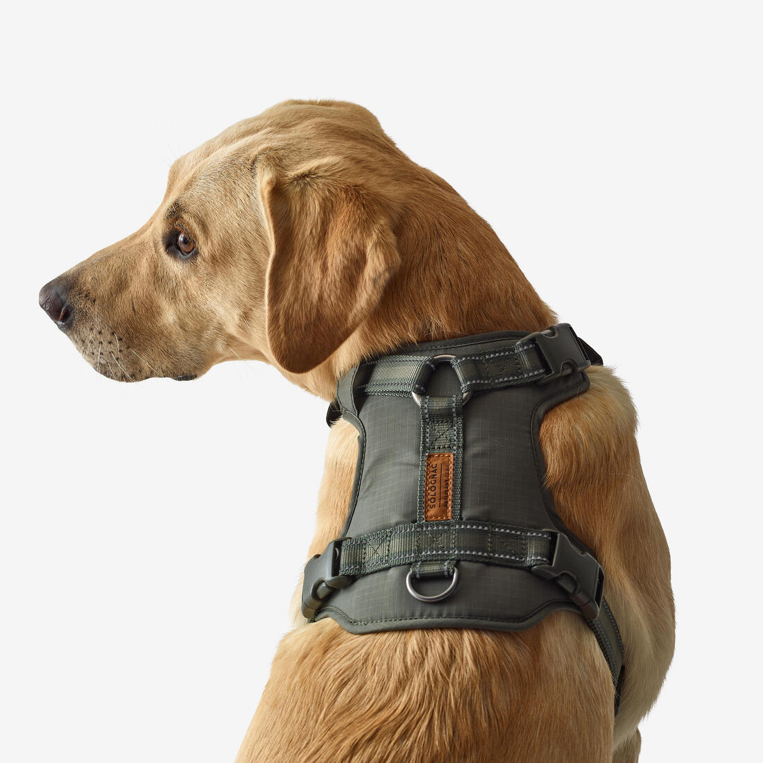 Harnais chien outdoor 500 - Image 7