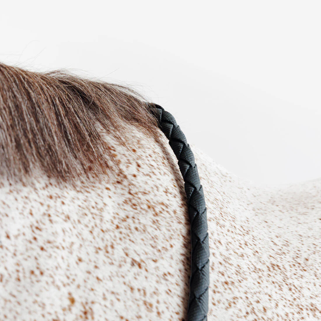 Kit licol et longe cheval en nubuck - Image 4