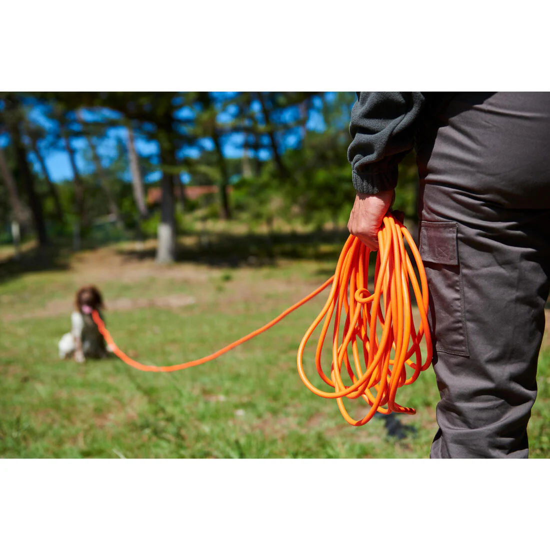 Longe pour chien 15 mètres 900 orange fluo - Image 5