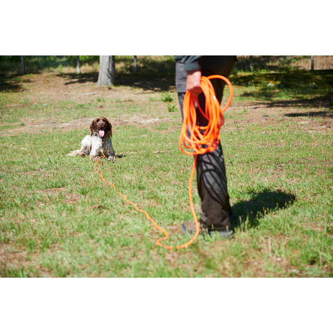 Longe pour chien 15 mètres 900 orange fluo - Image 6