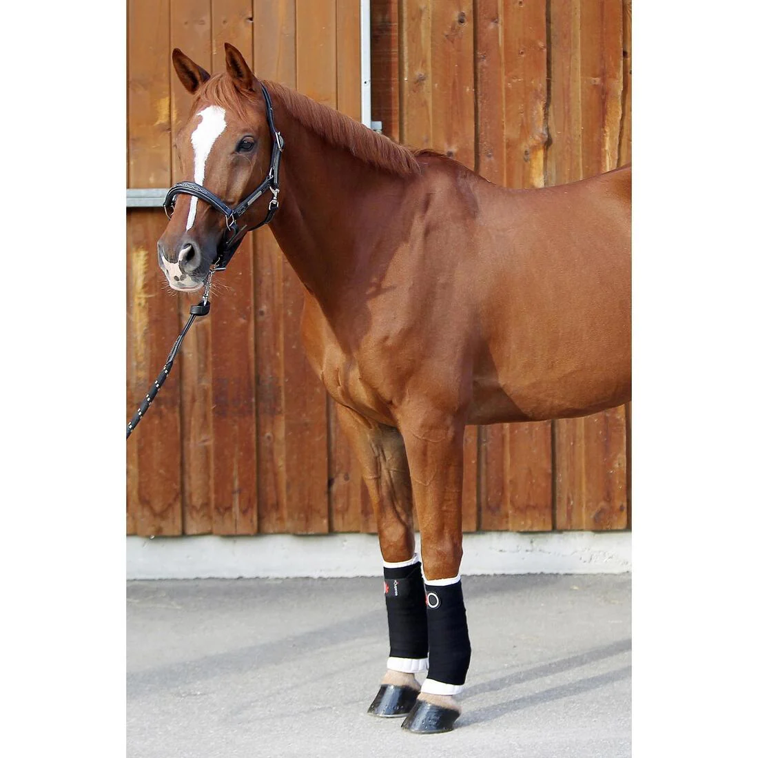 Lot de 2 petites flanelles équitation cheval et poney blanc - Image 6
