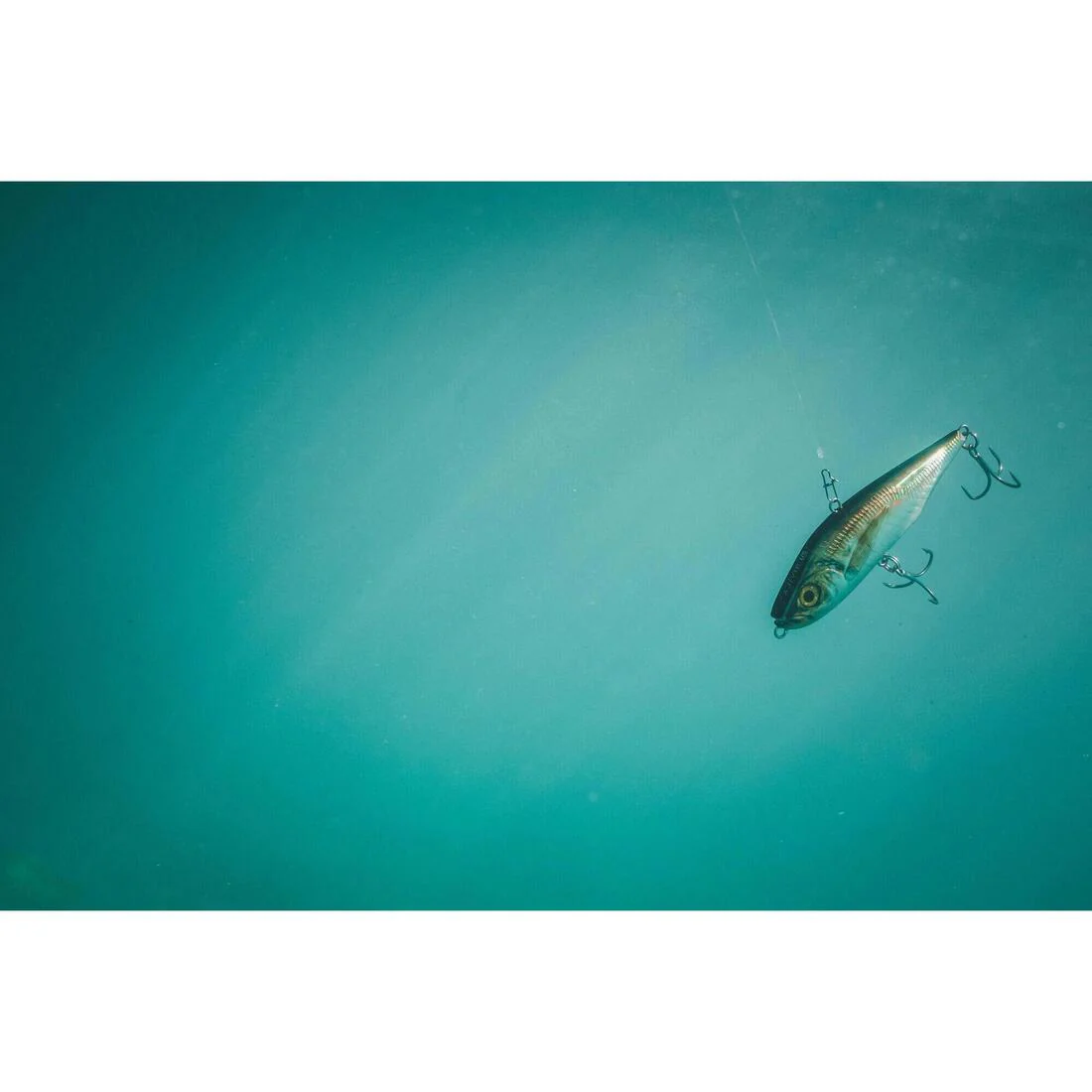 Poisson nageur AJIVIB 100 US AJI au leurre en mer - Image 14