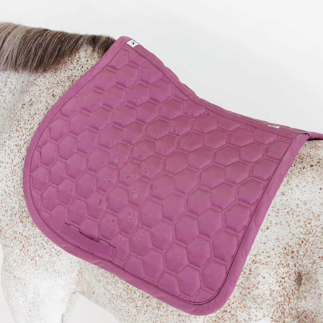 Tapis de selle équitation cheval - 500 - Image 10