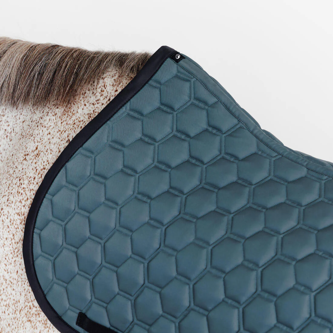 Tapis de selle équitation cheval - 500 - Image 11