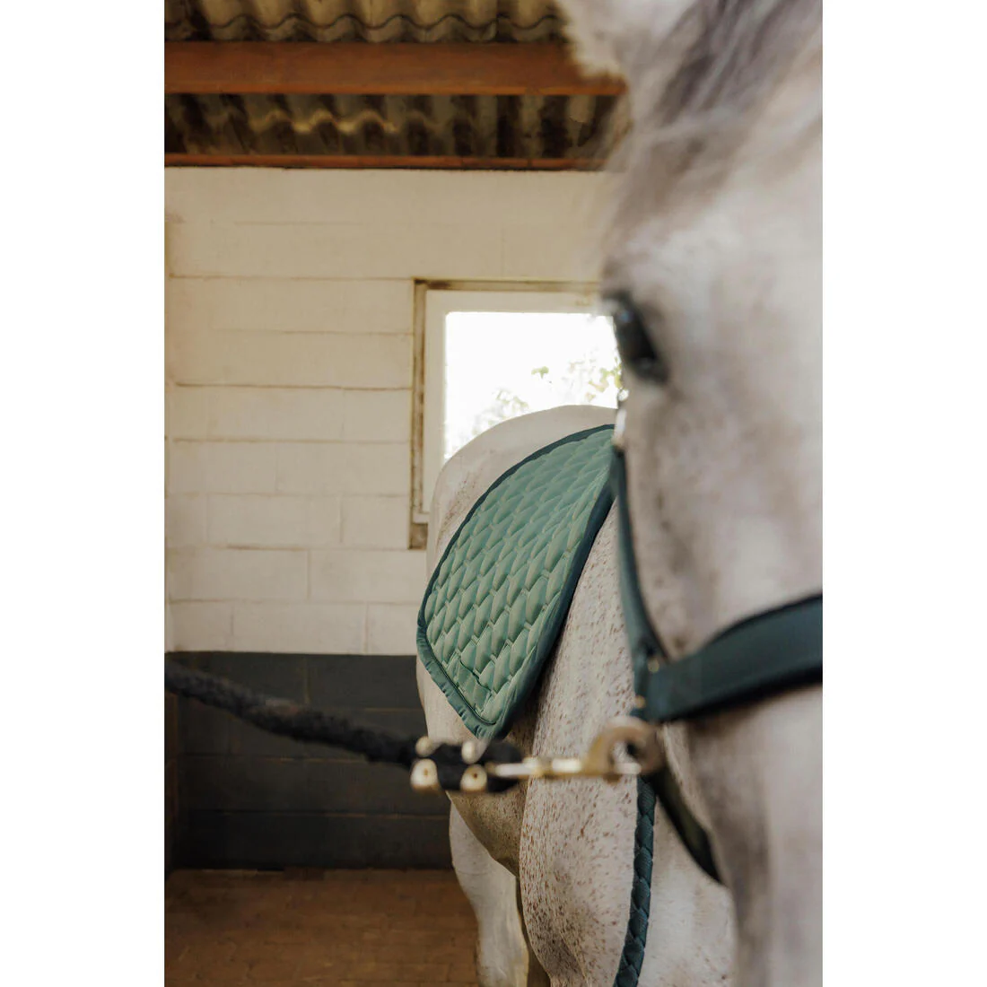 Tapis de selle équitation cheval - 500 - Image 13