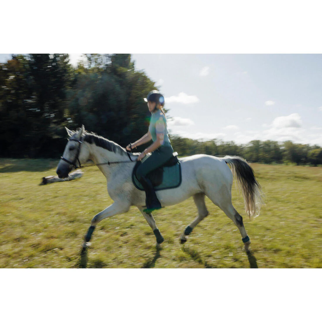 Tapis de selle équitation cheval - 500 - Image 16