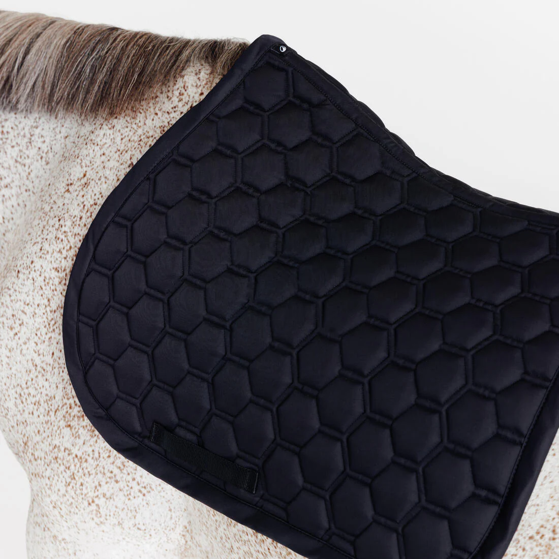 Tapis de selle équitation cheval - 500 - Image 9